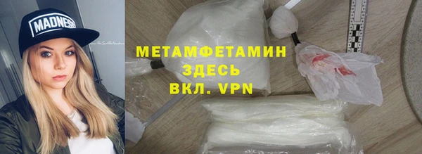 прущие грибы Карталы