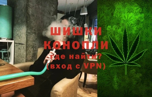 МДПВ Богородск