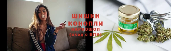 МДПВ Богородск