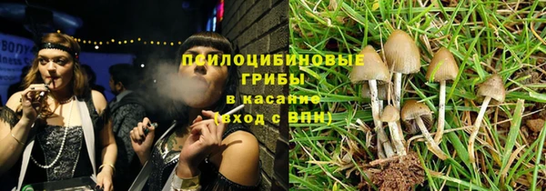 прущие грибы Карталы